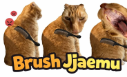img Brush Jjaemu