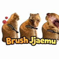 Brush Jjaemu