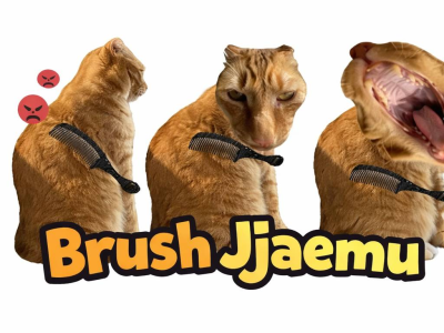 Brush Jjaemu background