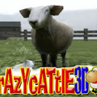crazy cattle 3d +