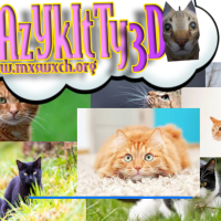 Crazy Kitty 3D