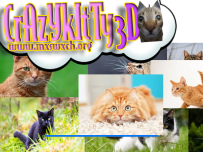Crazy Kitty 3D background