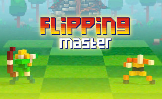 img Flipping Master