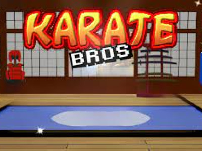 Karate Bros background