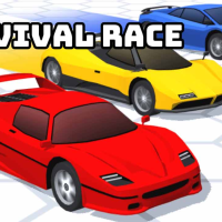 Survival Race